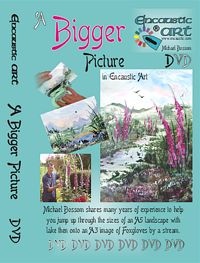 DVD - The Bigger Picture DVD - The Bigger Picture